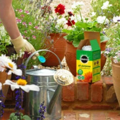 Miracle-Gro All Purpose Plant Food 1kg 6 Miracle-Gro All Purpose Plant Food 1kg -Addis Homedecor Store 175130 miracle gro all purpose plant food 1kg 2