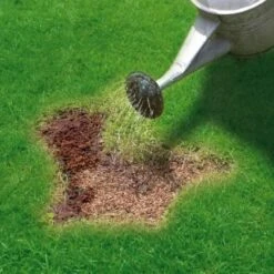 Miracle-Gro Patch Magic Grass Seed, Feed & Coir 1.1kg 10 Miracle-Gro Patch Magic Grass Seed, Feed & Coir 1.1kg -Addis Homedecor Store 245940 miracle gro patch magic grass seed feed and coir 3