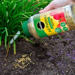 Miracle-Gro Continuous Release Plant Food 1kg -Addis Homedecor Store 309721 miracle gro continuous release plant food 1kg 2