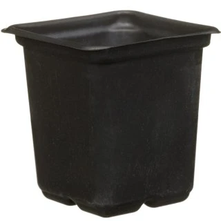 B&M Black Plant Pots 15pk 3 B&M Black Plant Pots 15pk