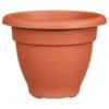 B&M Bell Pot Planter 30cm - Terracotta -Addis Homedecor Store 369864 bell pot planter 30cm terracotta