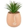 B&M Face Planter 2 B&M Face Planter -Addis Homedecor Store 380602 face planter