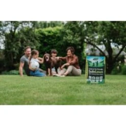 B&M Westland Safe Lawn Spreader Box 80m2 -Addis Homedecor Store 384000 safe lawn spreader box 80m 4