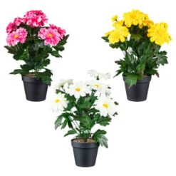 B&M Zinnia Plant Pot - Yellow -Addis Homedecor Store 392826 zinnia in pot group