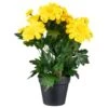 B&M Zinnia Plant Pot - Yellow -Addis Homedecor Store 392826 zinnia in pot yellow