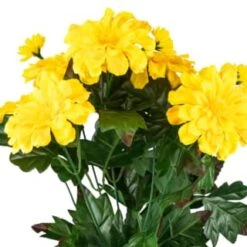 B&M Zinnia Plant Pot - Yellow -Addis Homedecor Store 392826 zinnia in pot yellow 2