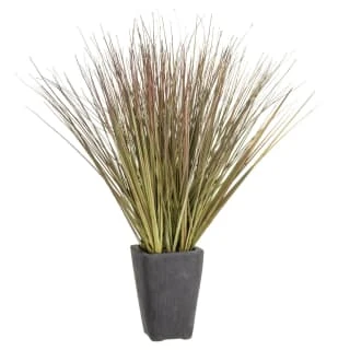 B&M Onion Grass In Black Terracotta Pot 3 B&M Onion Grass In Black Terracotta Pot