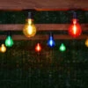 Eveready Mains Powered LED Bulb String Lights 20pk - Multicolour -Addis Homedecor Store 392913 eveready 20 mains operated multi colour bulb string lights 2