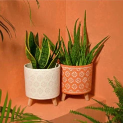 B&M Planter On Tripod Stand - Cream 7 B&M Planter On Tripod Stand - Cream -Addis Homedecor Store 393647 superbloom planter on tripod stand terracotta1