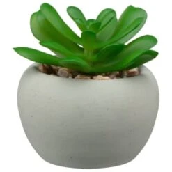 B&M Assorted Small Concrete Succulents 11 B&M Assorted Small Concrete Succulents -Addis Homedecor Store 394713 small concrete succulent 3