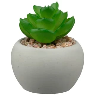 B&M Assorted Small Concrete Succulents 4 B&M Assorted Small Concrete Succulents - Image 2