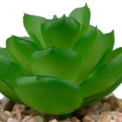 B&M Assorted Small Concrete Succulents 13 B&M Assorted Small Concrete Succulents -Addis Homedecor Store 394713 small concrete succulent 6
