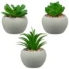 B&M Assorted Small Concrete Succulents -Addis Homedecor Store 394713 small concrete succulent group